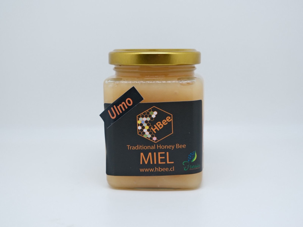 Miel Hbee Bosque Nativo 400 gr Orgánica1