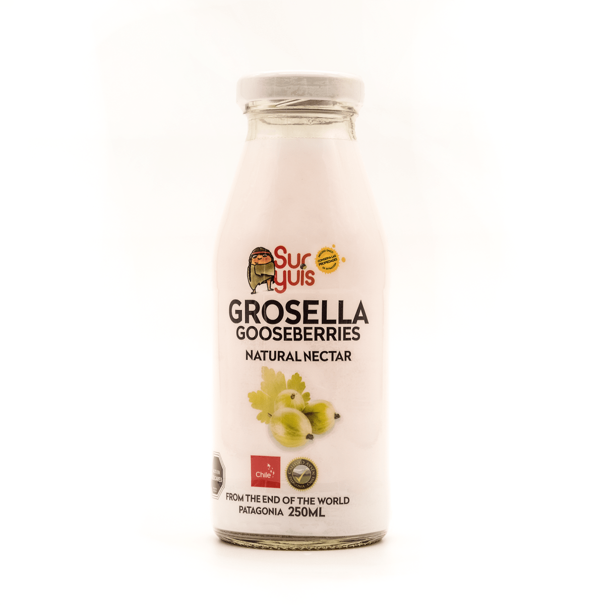 JUGO DE GROSELLA 250 CC 50 1.695 84.7501