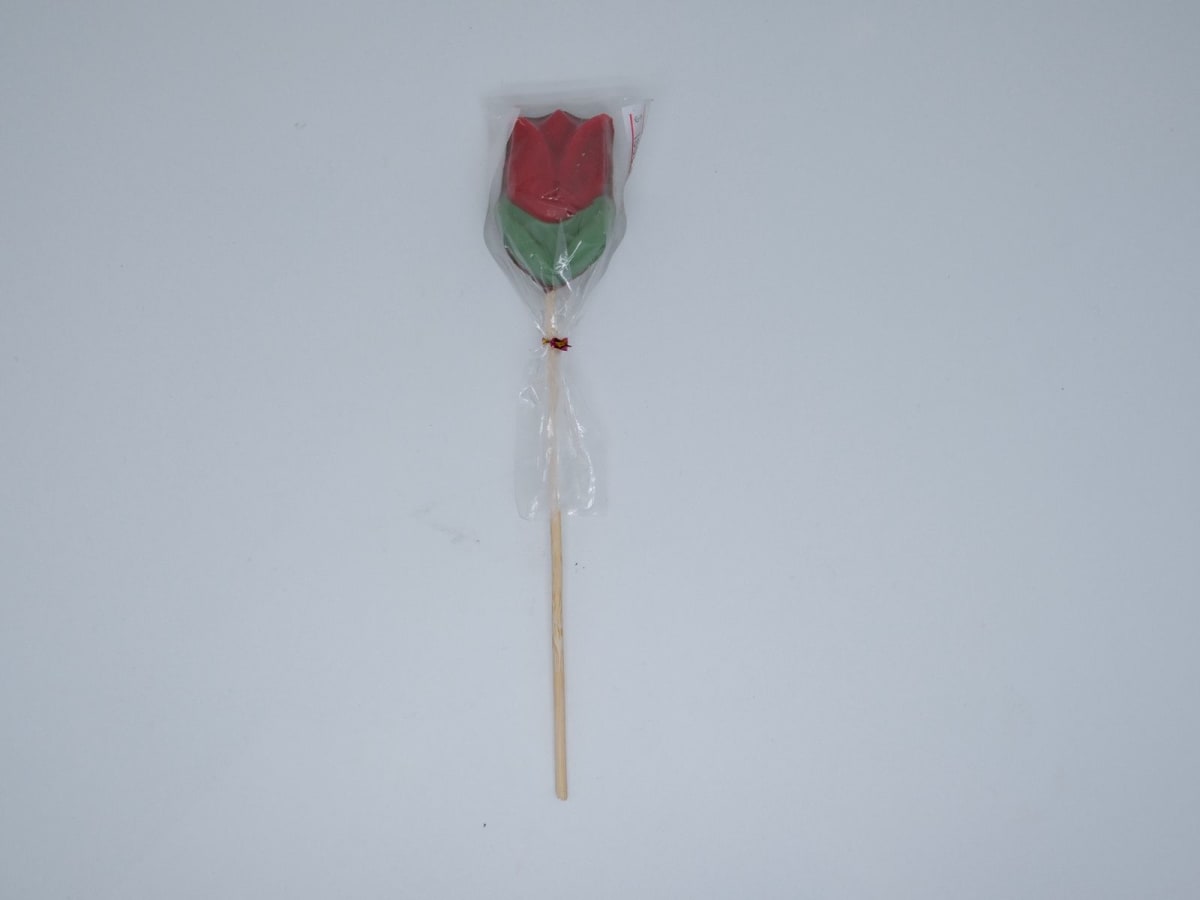 Paleta de Chocolate Variedades2