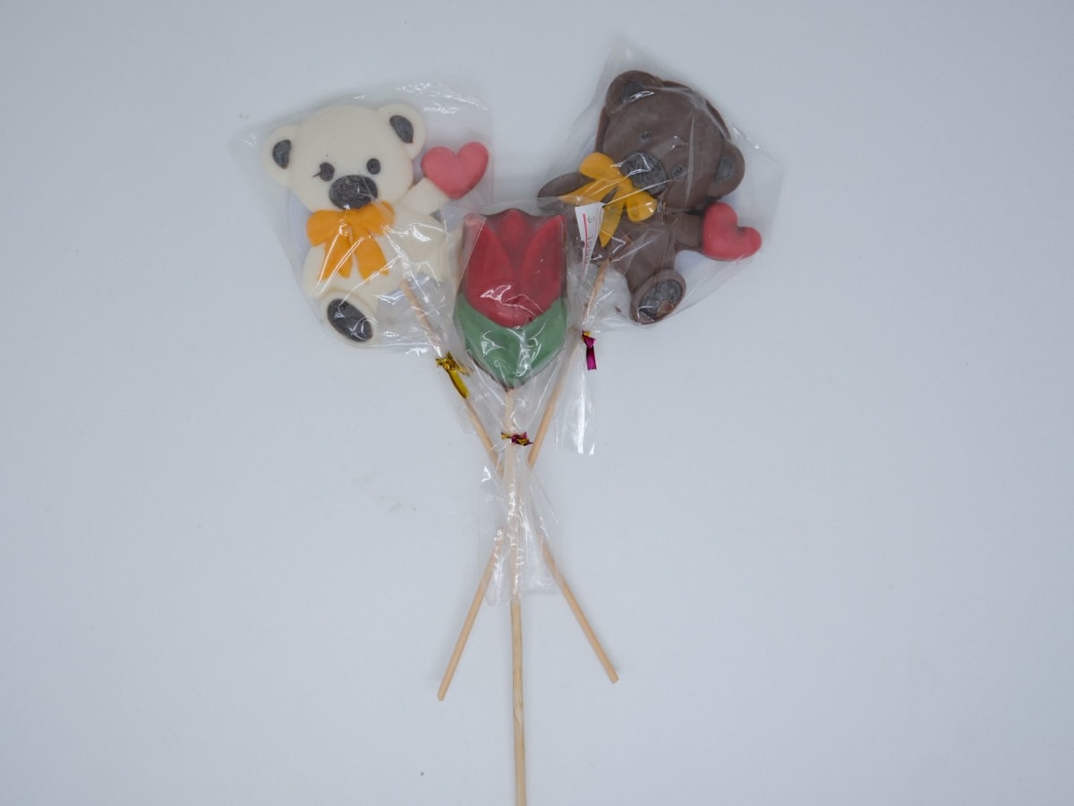 Paleta de Chocolate Variedades4