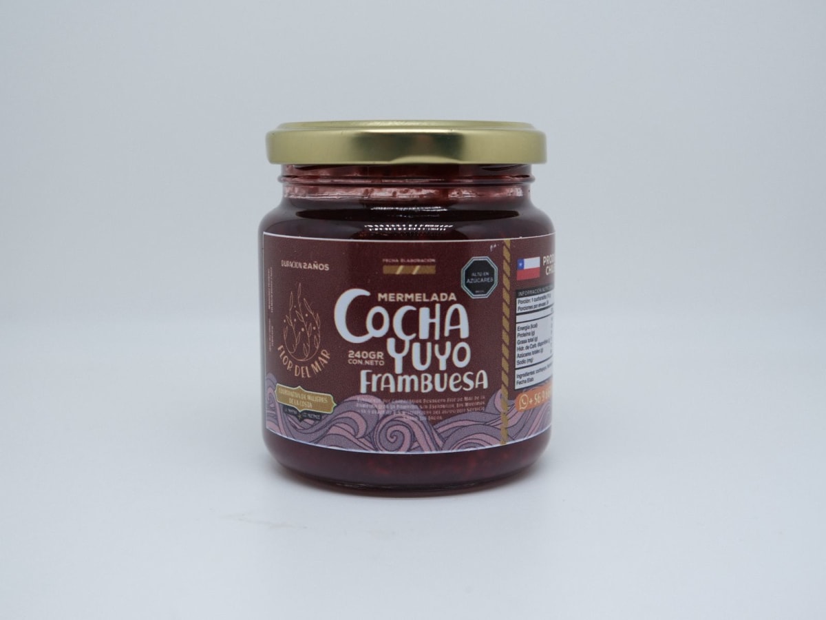 Mermelada Cochayuyo Frambruesa 250 grs.1