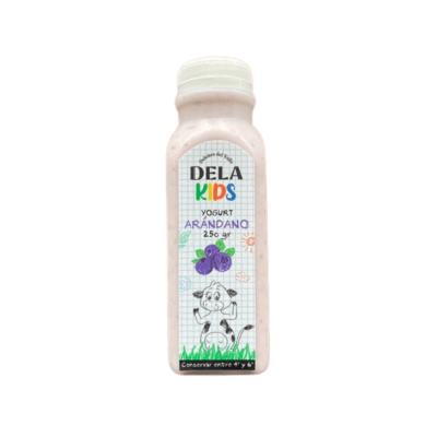 Yogurt - Arándano (250g)1