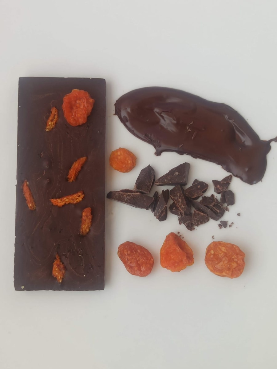 Chocolate Petunio Aguaymanto 70% Cacao – 40g2