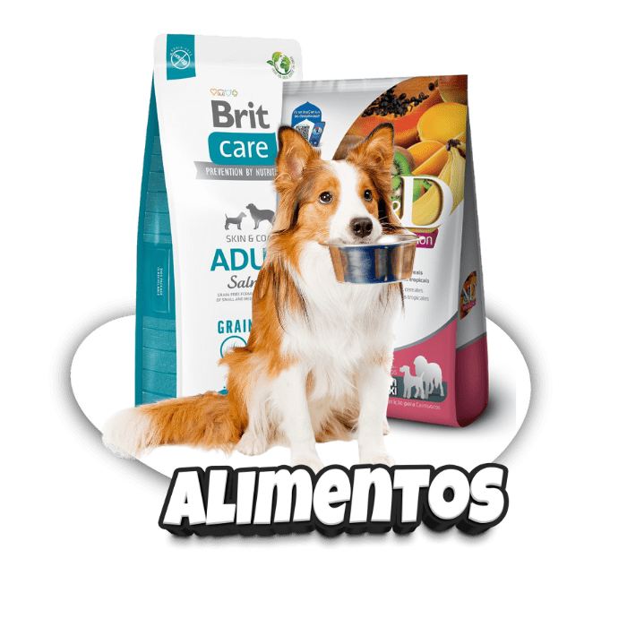 Inicio