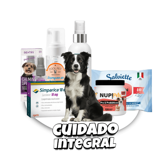 Inicio