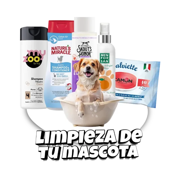 Inicio