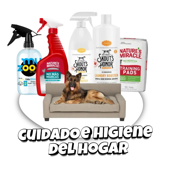 Inicio