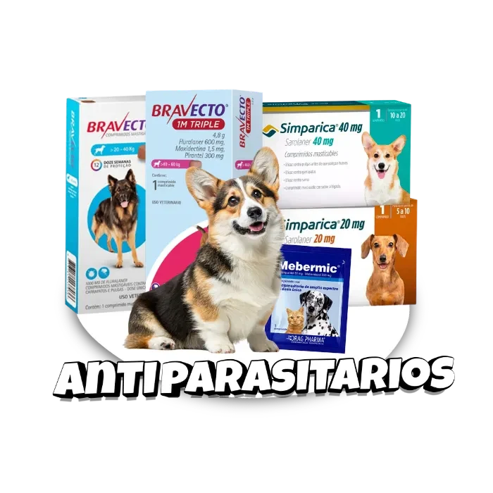Inicio