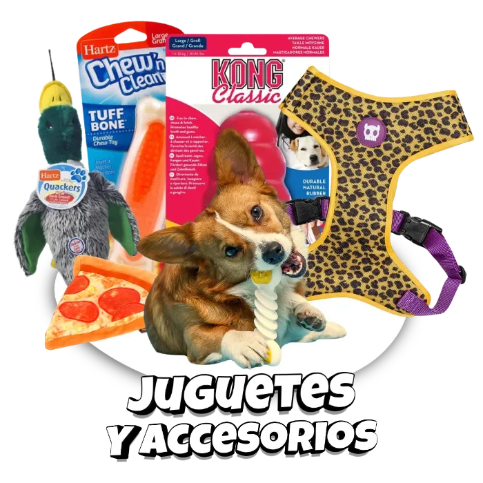 Inicio