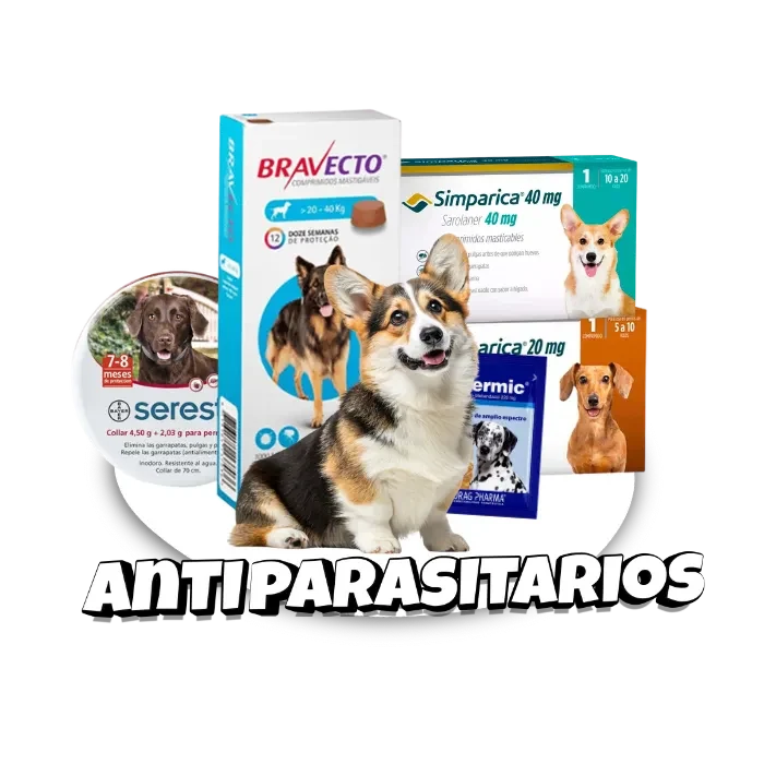 Inicio