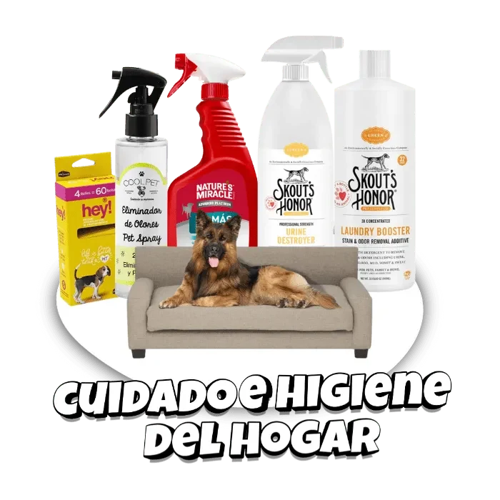 Inicio