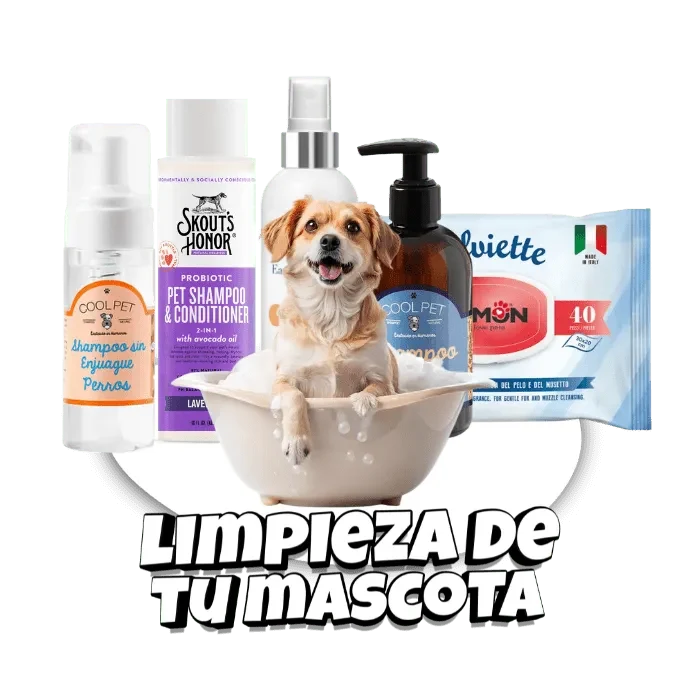 Inicio