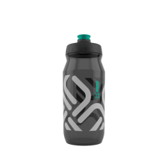 BOTELLA FIDGUARD ANTIBACTERIANA 600ML