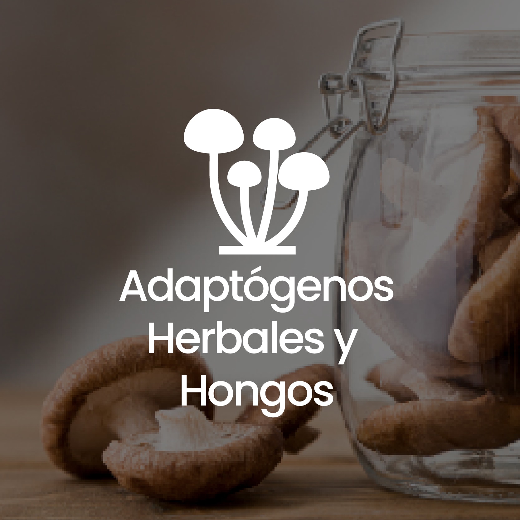 Adaptogenos
