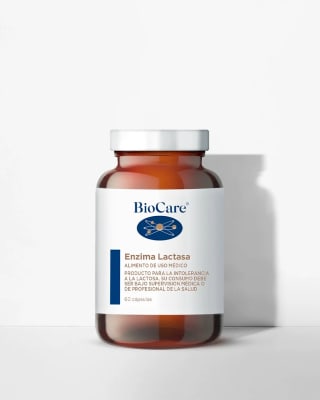 Lactasa Enzimas Digestivas1