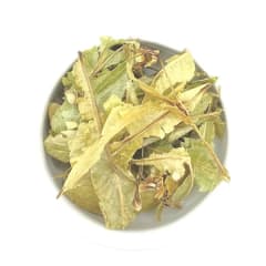 Hierba Medicinal Camellia Tilo