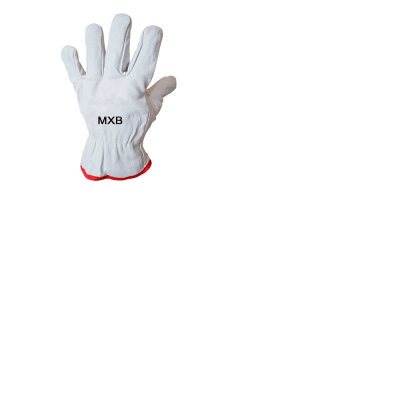 Guante Cabritilla Sin Forro Marca MXB1