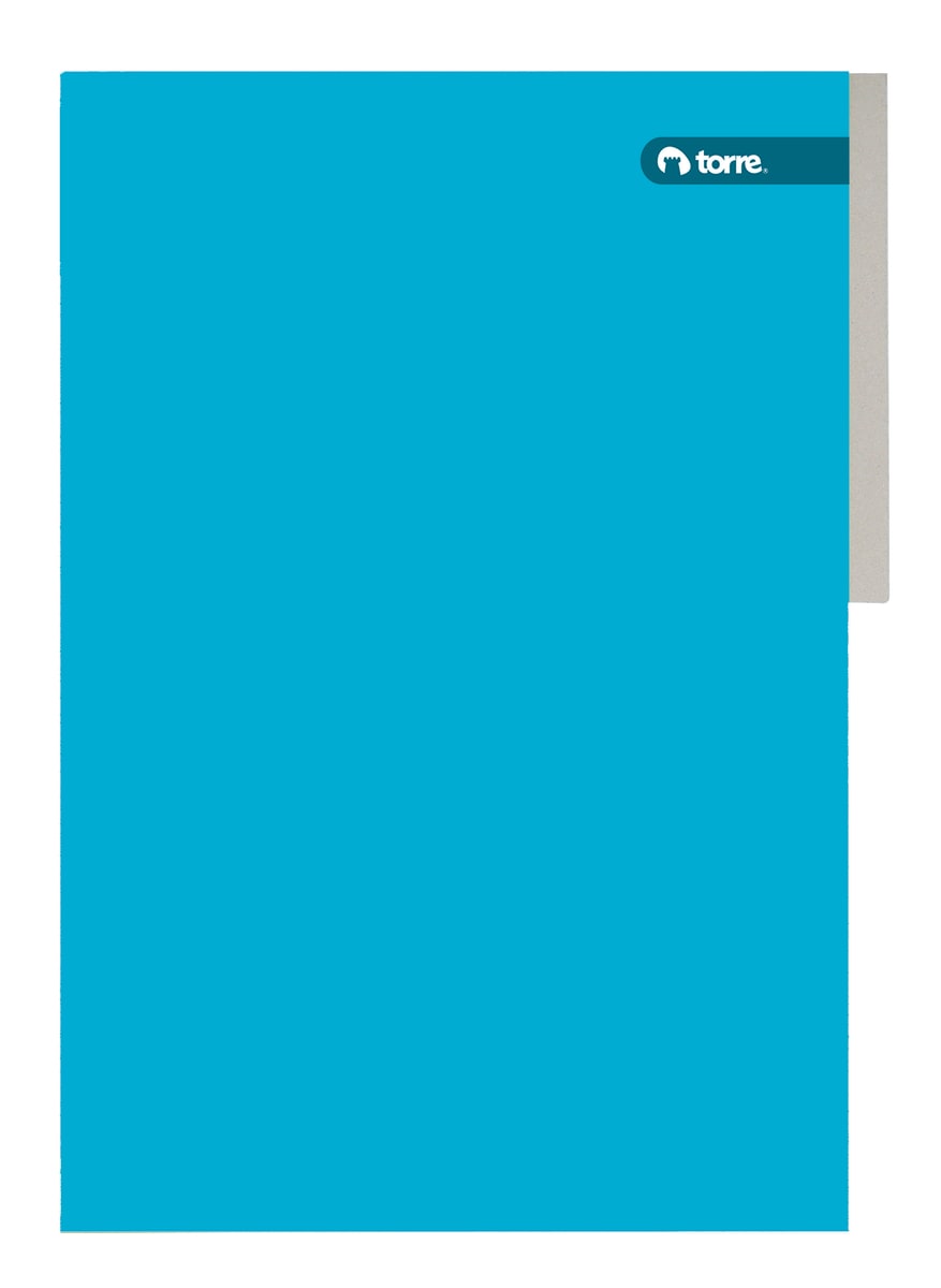 Carpeta pigmentada celeste Torre1
