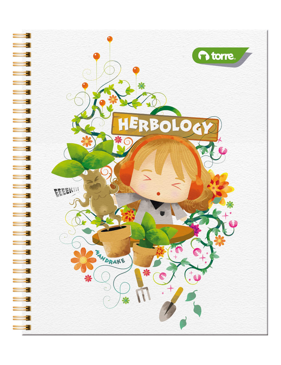 Cuaderno universitario Harry Potter 7mm 100 hjs Torre6