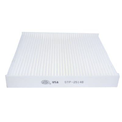 FILTRO POLEN SAMSUNG SM3 2005/20151