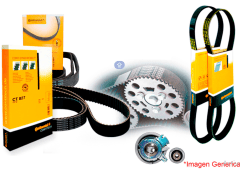 CORREAS LISA CONTINENTAL ''A''