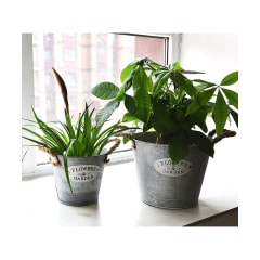 Mecetero Latón Smarthome 23x18 cms