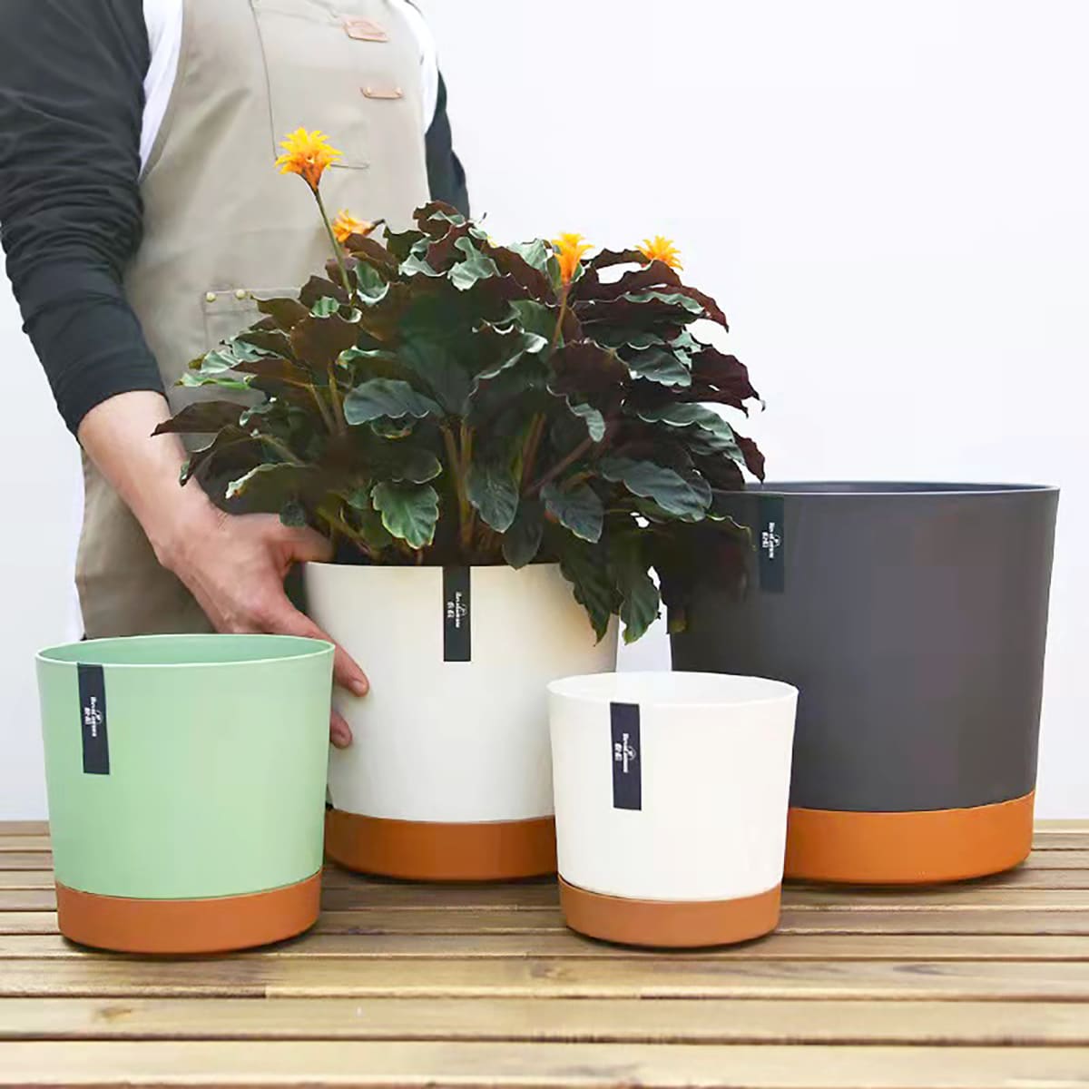 Macetero con Bandeja Extraible y Drenaje Reflexivo 25x23 cms  Verde7