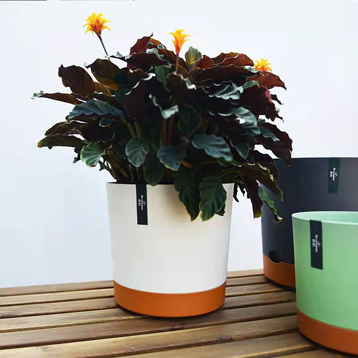 Macetero con Bandeja Extraíble y Drenaje Reflexivo 25x23 cms BLANCO6