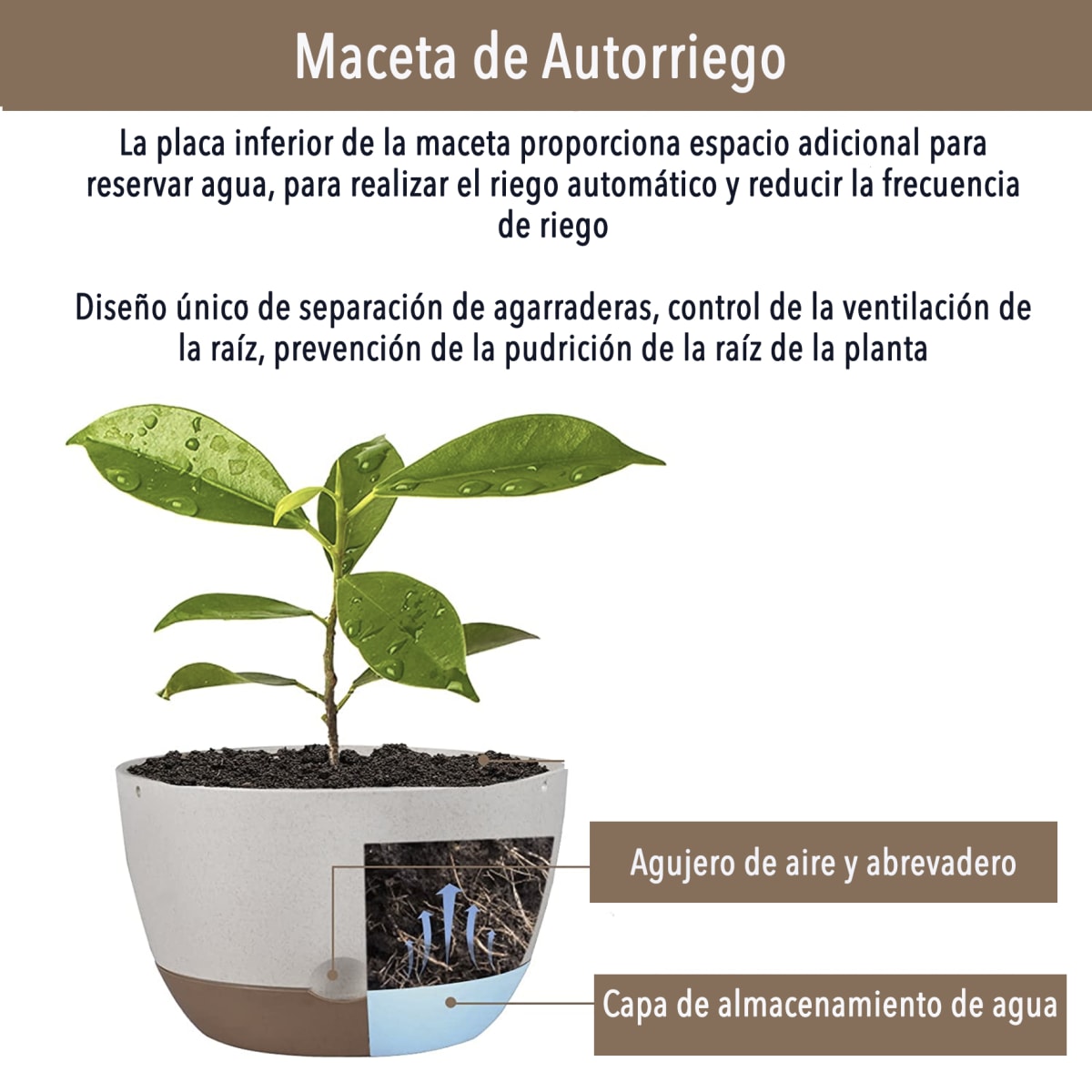 Kit 2 Maceta Colgante con Bandeja Extraíble y Drenaje M Blanca2