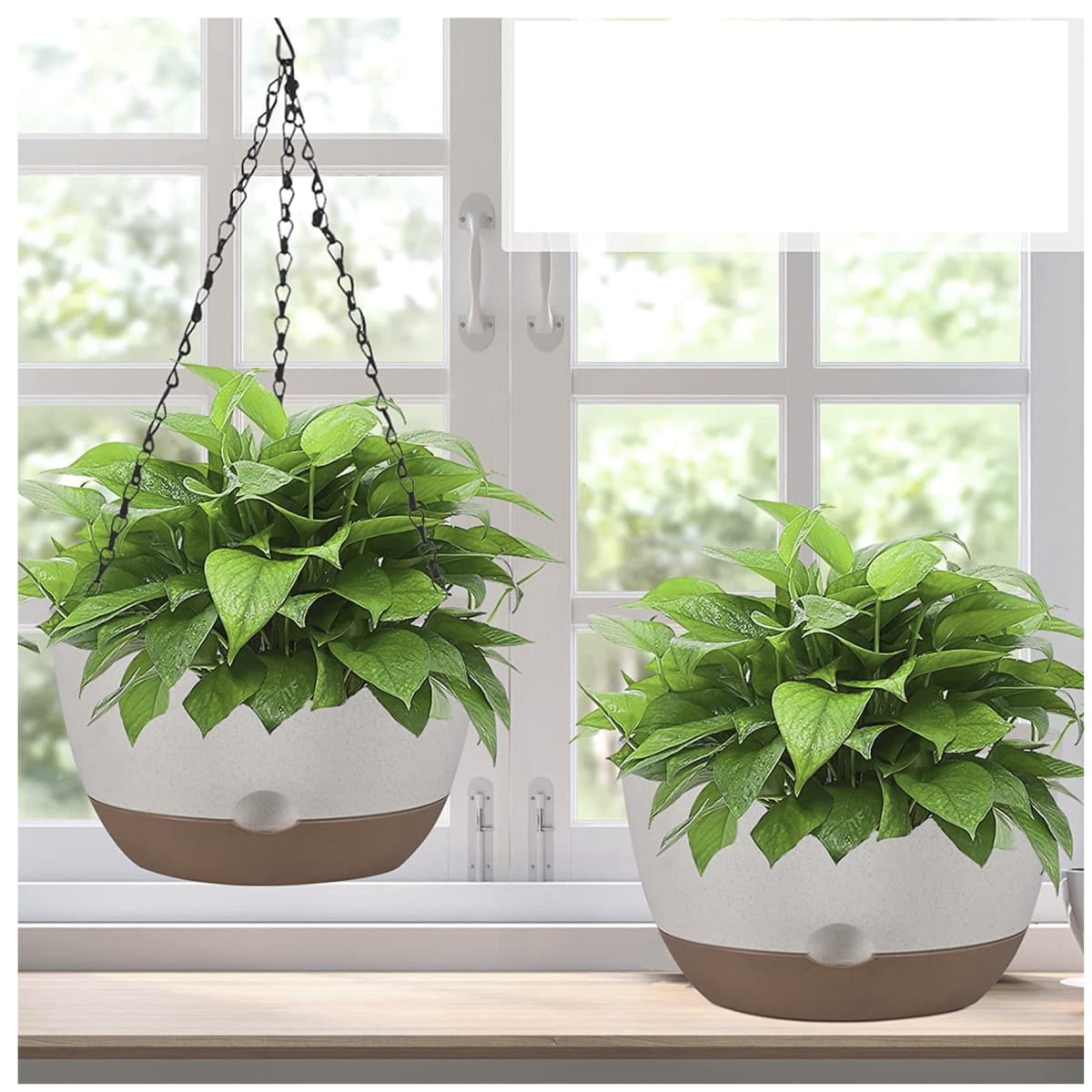 Maceta Colgante con Bandeja Extraíble y Drenaje Blanca6