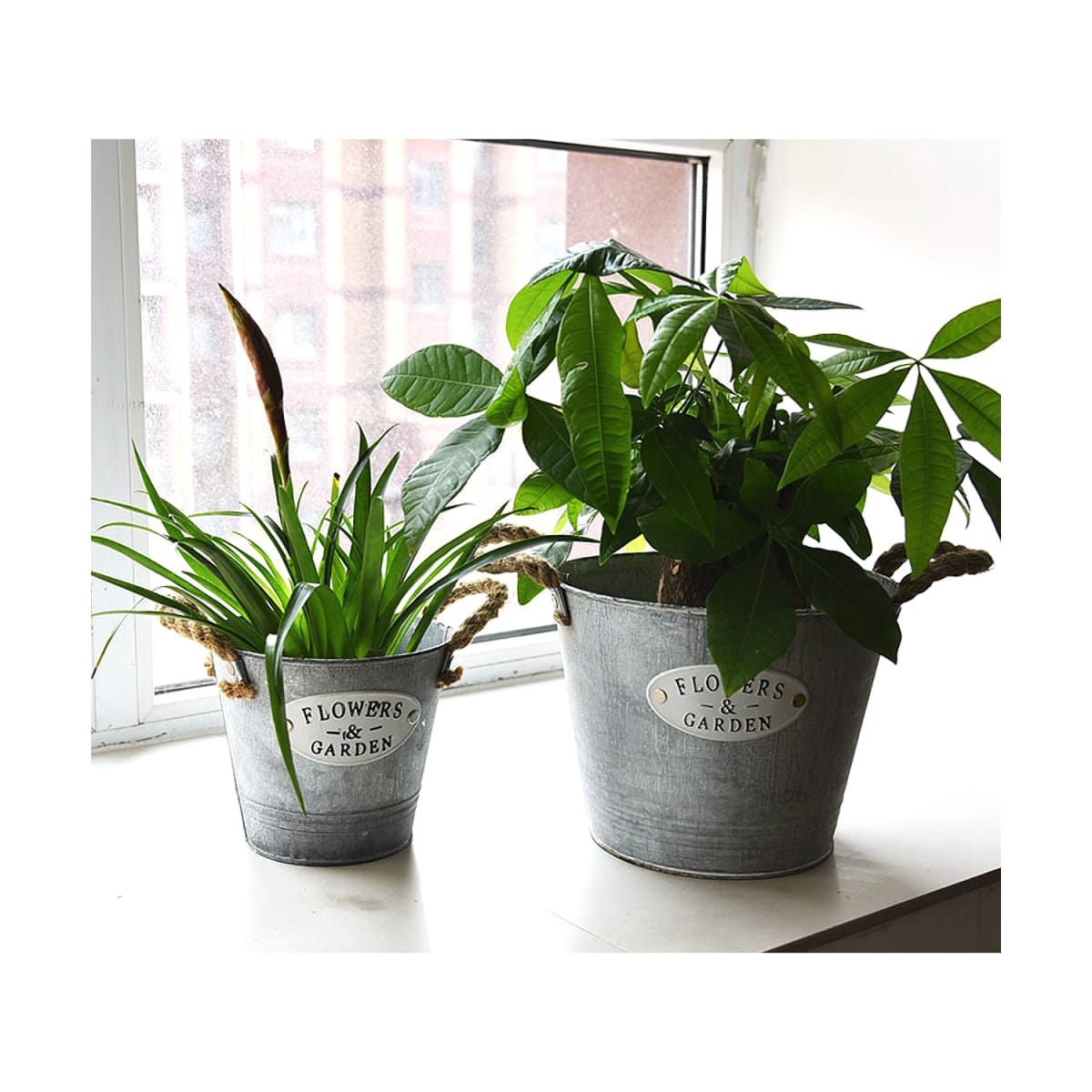 Mecetero Latón Smarthome 23x18 cms1