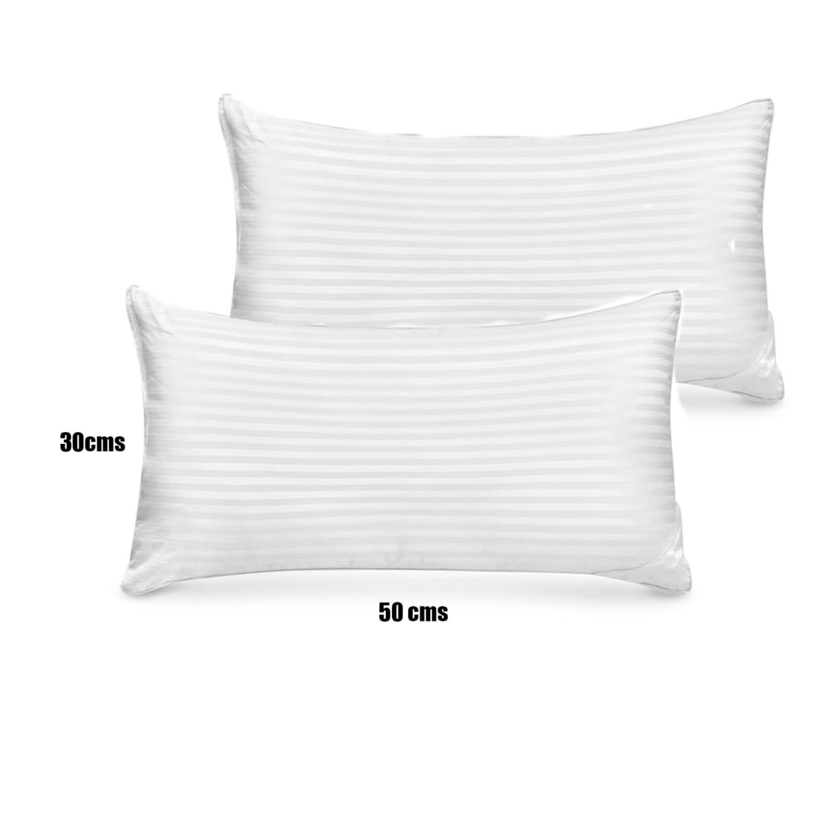 Pack 2 Rellenos Cojín 50x30 cms Seda Sintética2