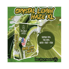 Delirium Seeds Auto Crystal Lemon Haze XL