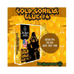 Delirium Seeds Auto Gold Gorilla Glue #4