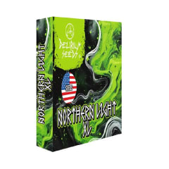 Delirium Seeds Auto Northern Light XL