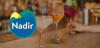 NADIR