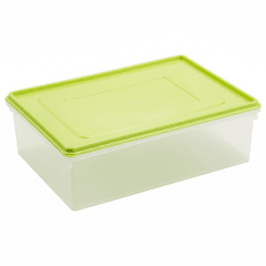 CAJA CONSERVADORA Con Tapa # 4