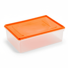CAJA CONSERVADORA Con Tapa # 5 Formato A4 0