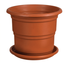 MACETA ROBLE # 2 Con Base
