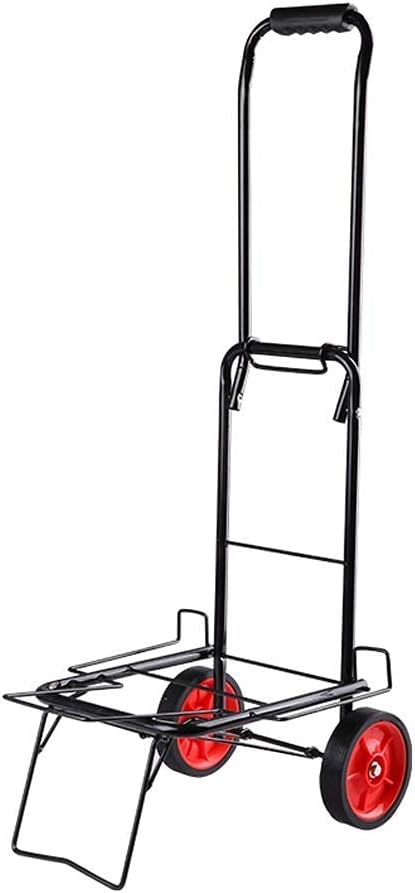 (5)COCHE Porta PAQUETE Negro1