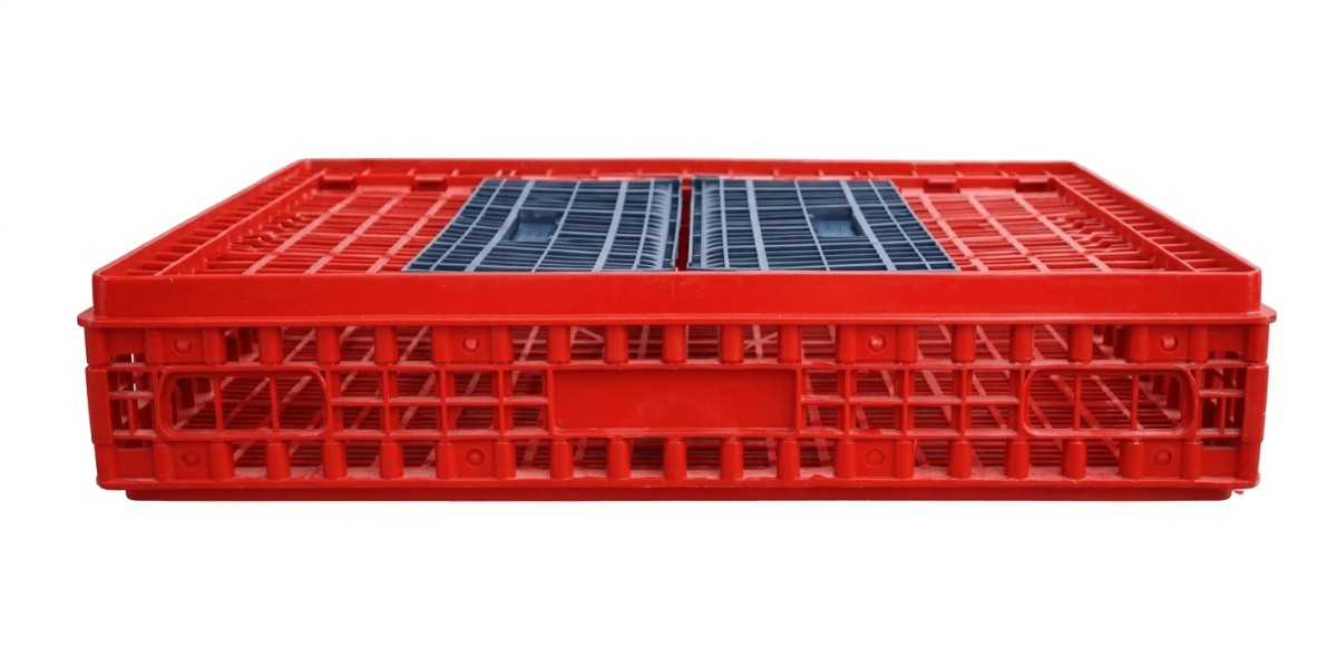 JABA PARA TRANSPORTE DE CUY BAJA 82X58X15 CM2