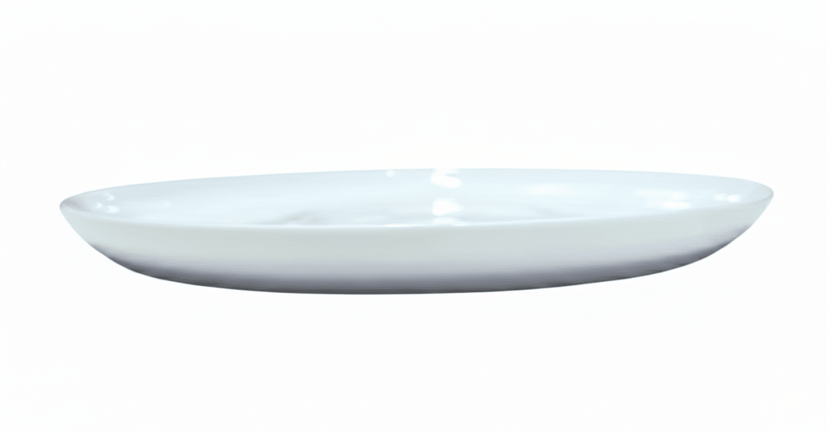 PLATO De Loza 12