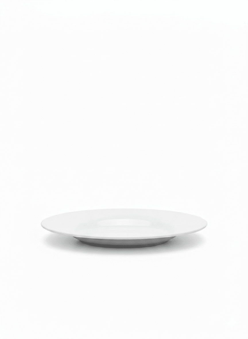 PLATO De LOZA Blanco Hondo y Tendido - ICHIMAT2