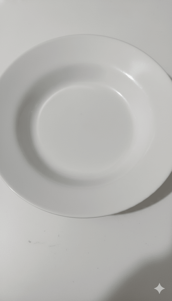 PLATO De LOZA Hondo y Tendido Hotelero1