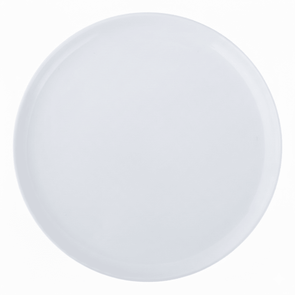 PLATO De Loza 9