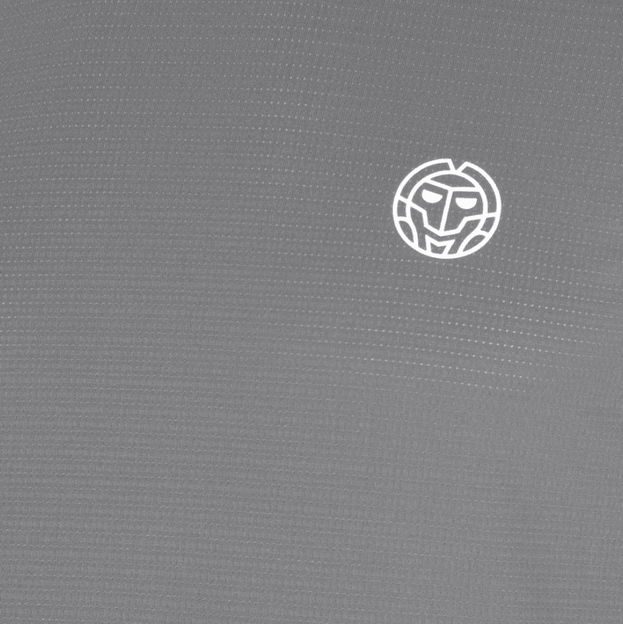 Polo Crew Longsleeve - Grey2