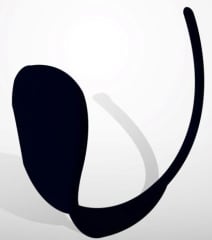CONCHERO NEGRO 2