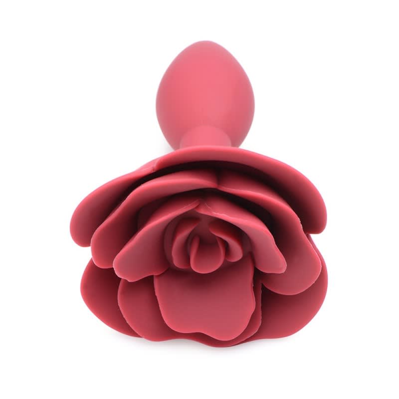 PLUG ANAL ROSA TM2