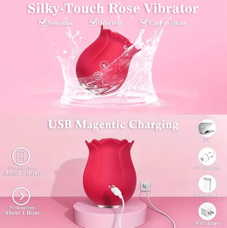 SUCCIONADOR ROSA 12 MODOS USB2