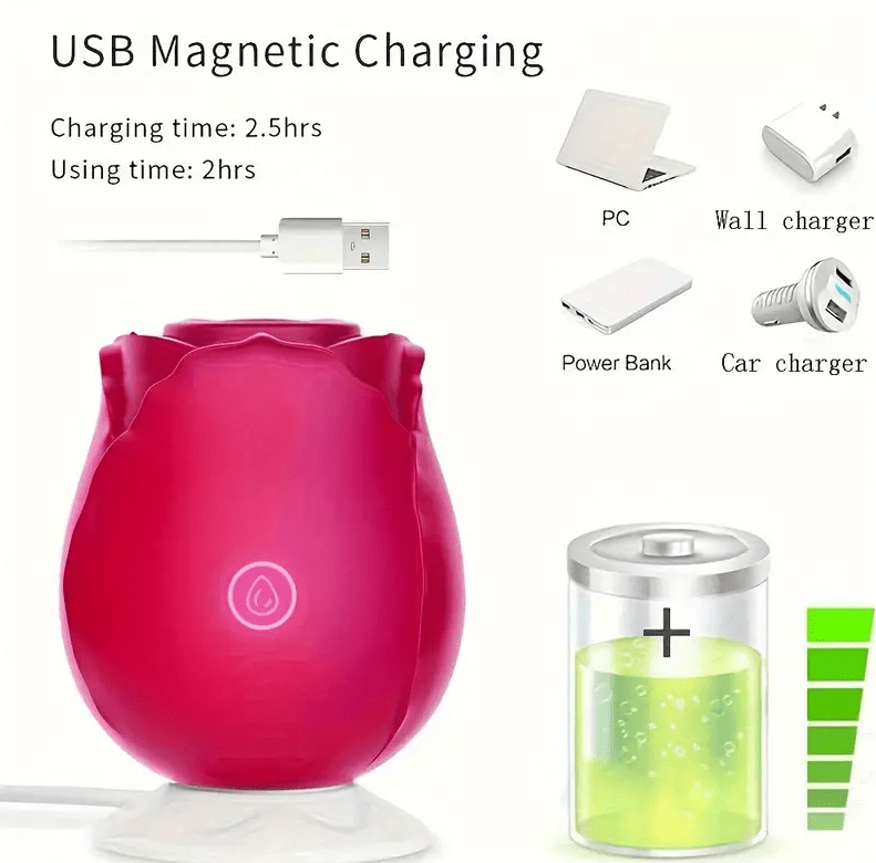 SUCCIONADOR ROSA RECARGA MAGNETICA2